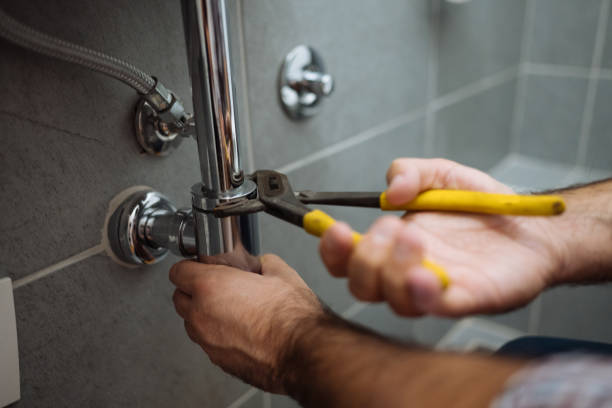 Best Residential Plumbing Services  in Chicago Heights, IL